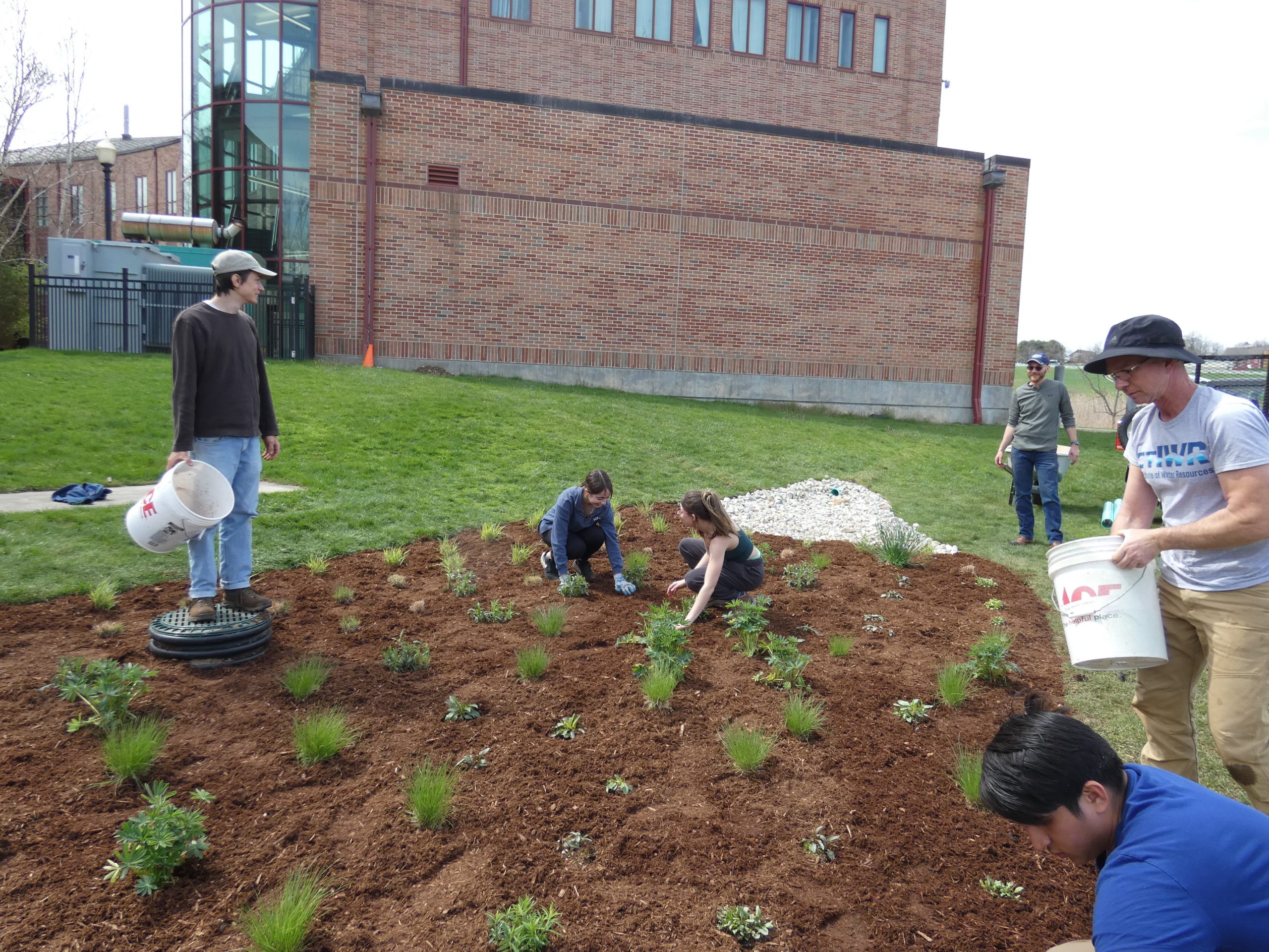 Students and UConn Extension faculty work at planting a rain garden next to the Dairy Bar.