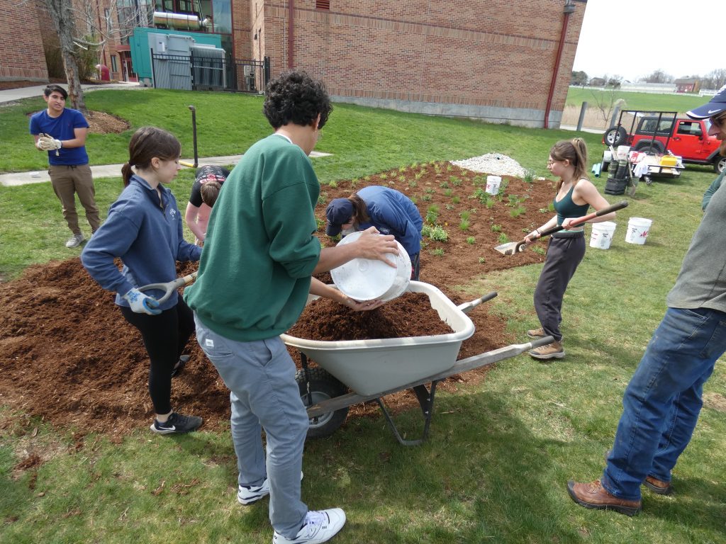 Students load a wheelbarrow with mulch.