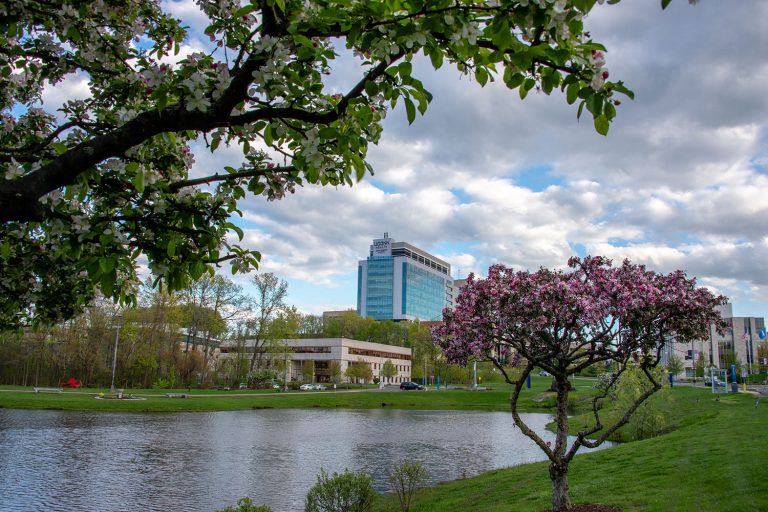 UConn health lower campus shot in the spring, with pond and flowering trees, University Tower in the background