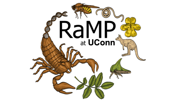 The RaMP logo.