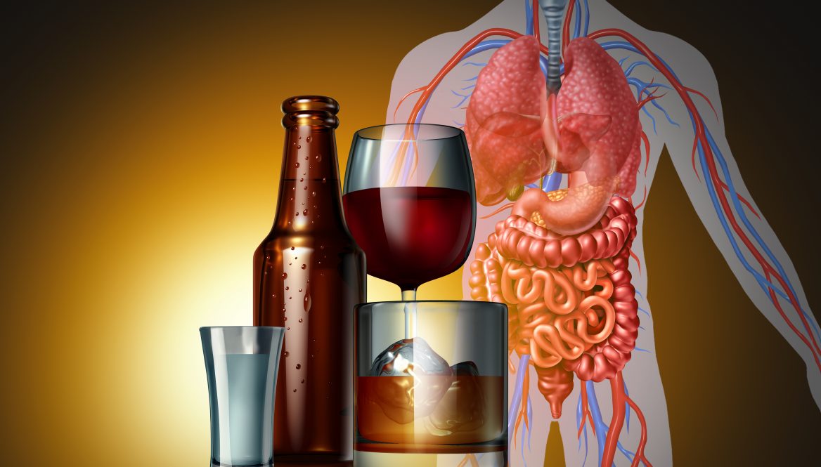Gut Bacteria Might Discourage Binge Drinking Mirage News