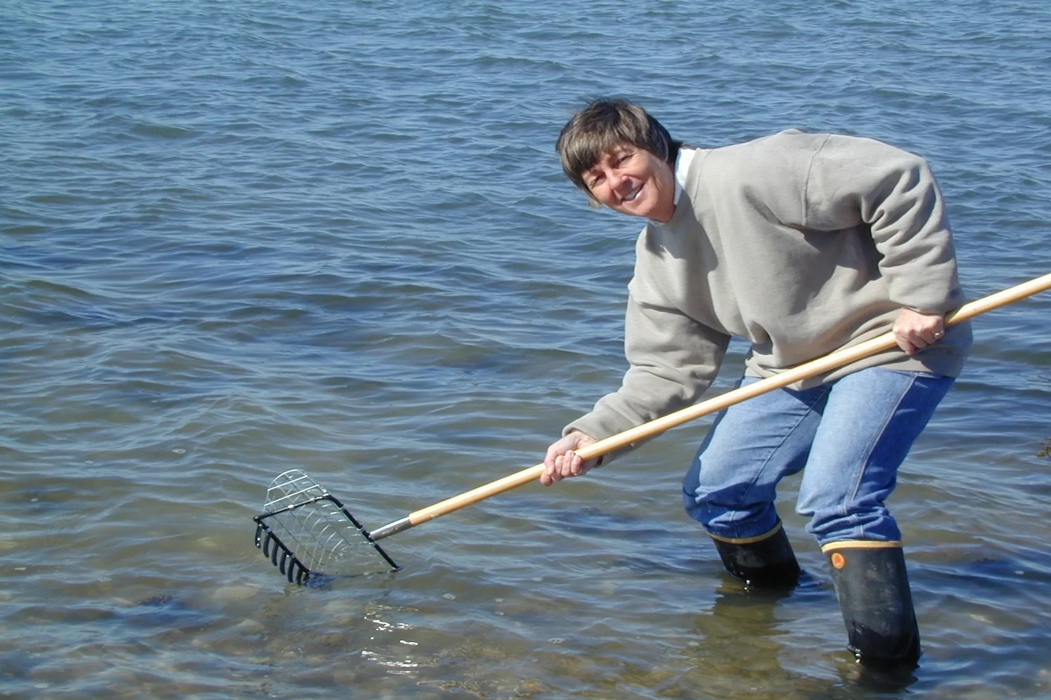 Sandra Shumway holding a clam rake in the ocean