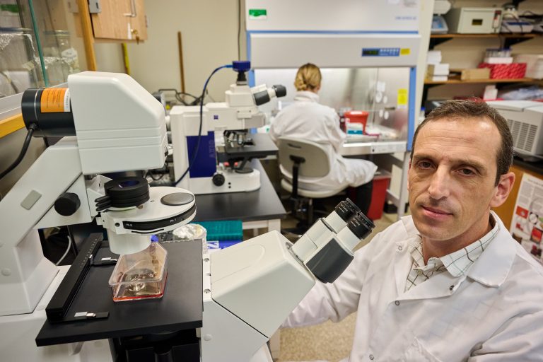 Elsio Wunder, assistant professor of pathobiology at his lab.
