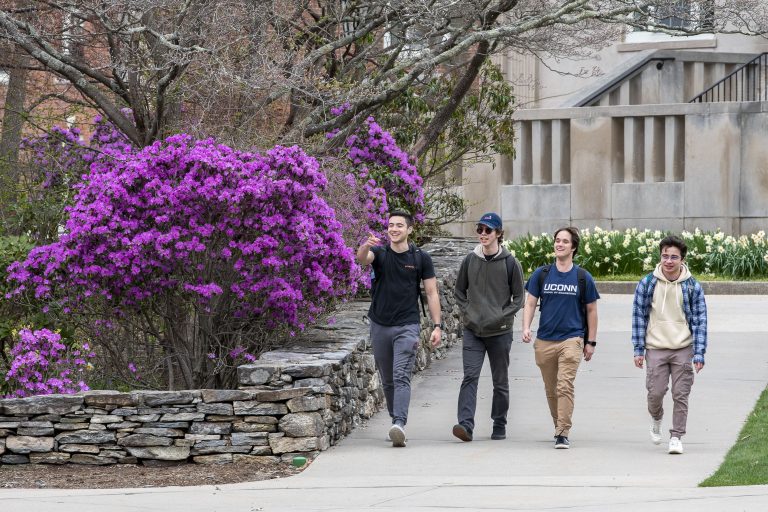 A group of students walking near the Wilbur Cross building.
