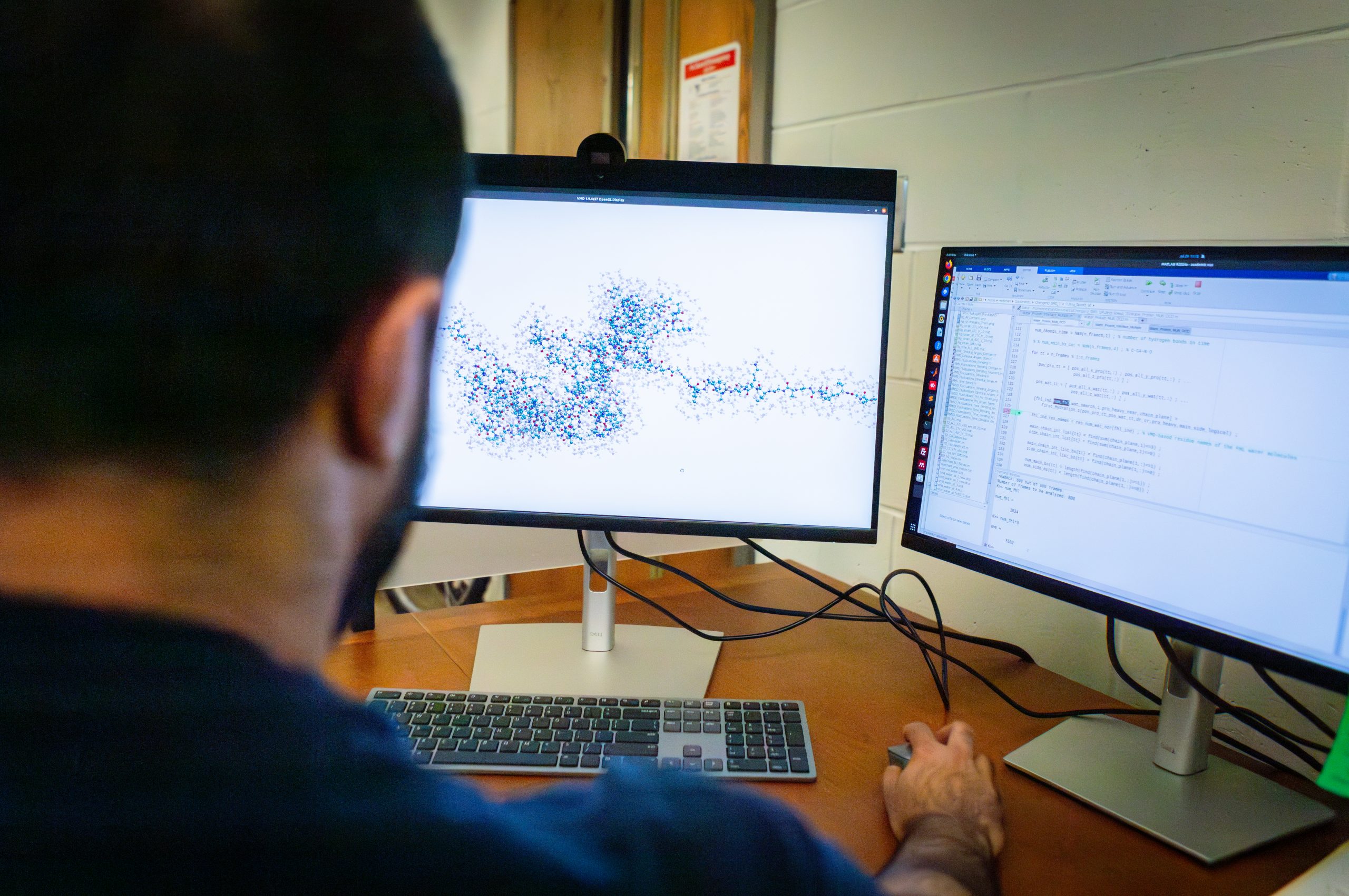 Mohammad Madani studies proteins on a computer.