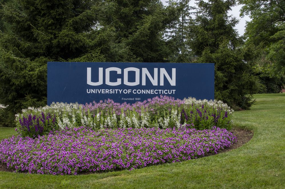 UConn entrance sign amongst flowers