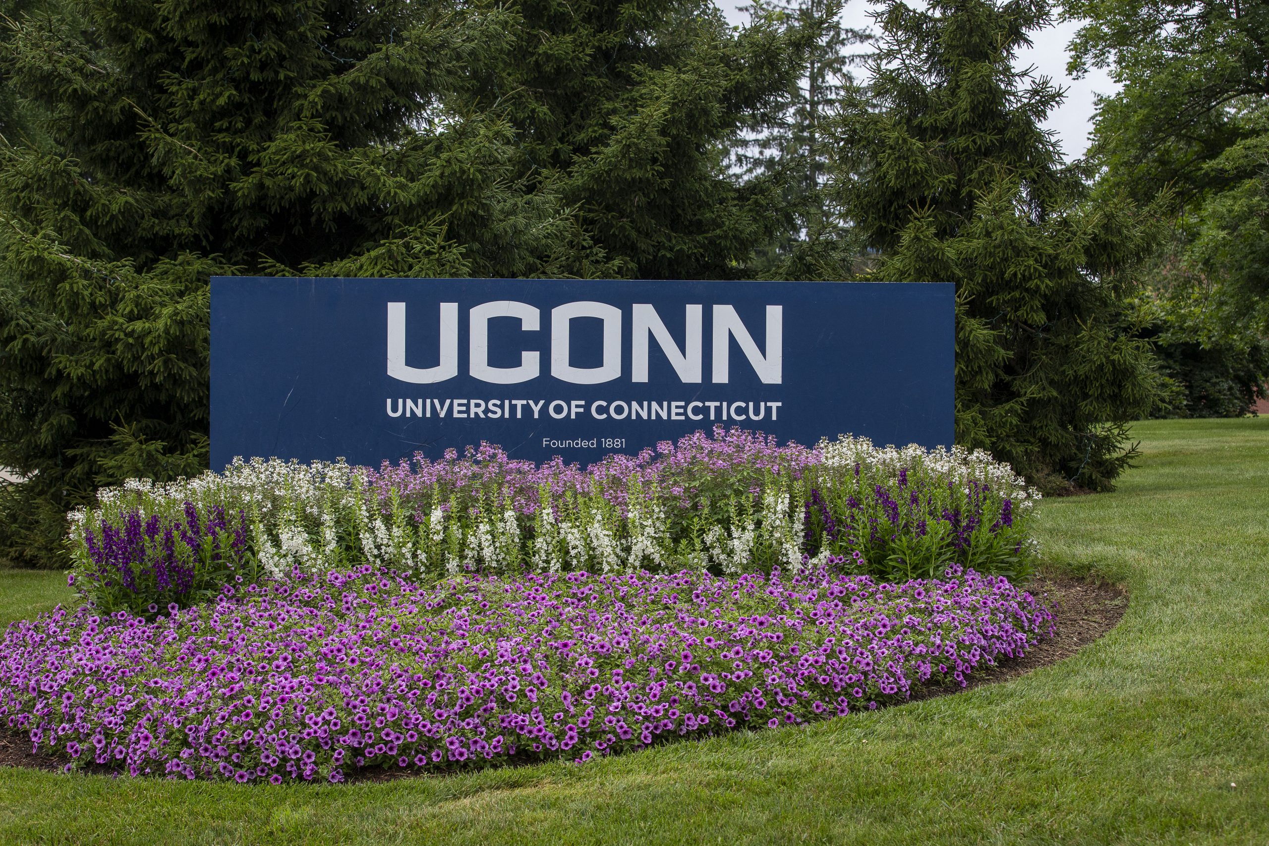 Vice President for Human Resources - UConn Today