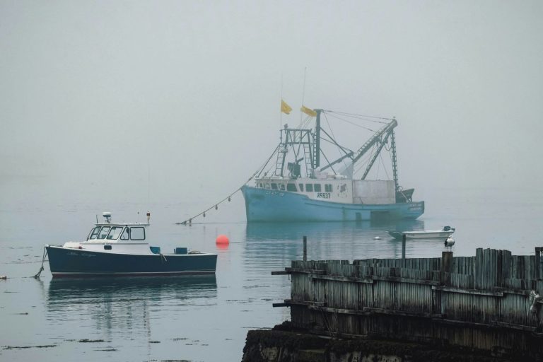 lobster boats