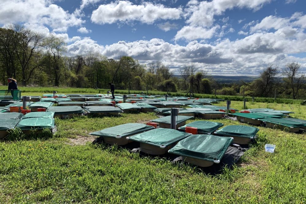 Research tank set up in a field