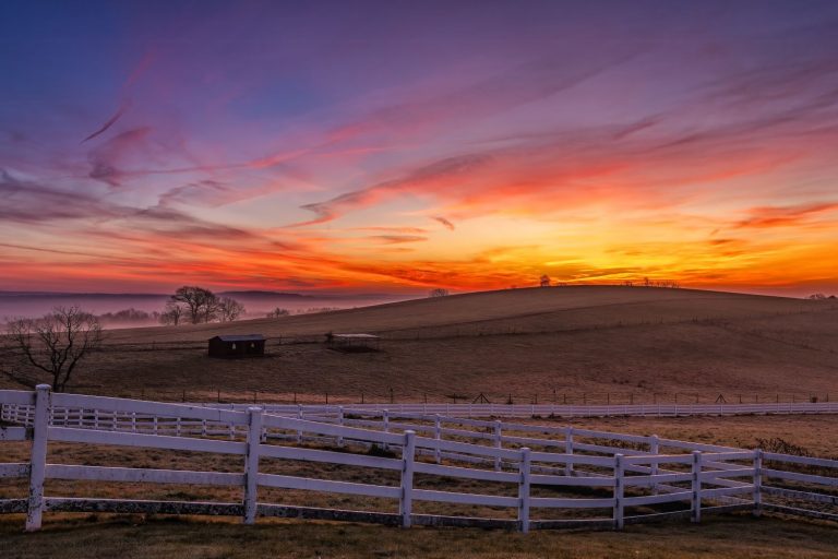 Horsebarn Hill at UConn