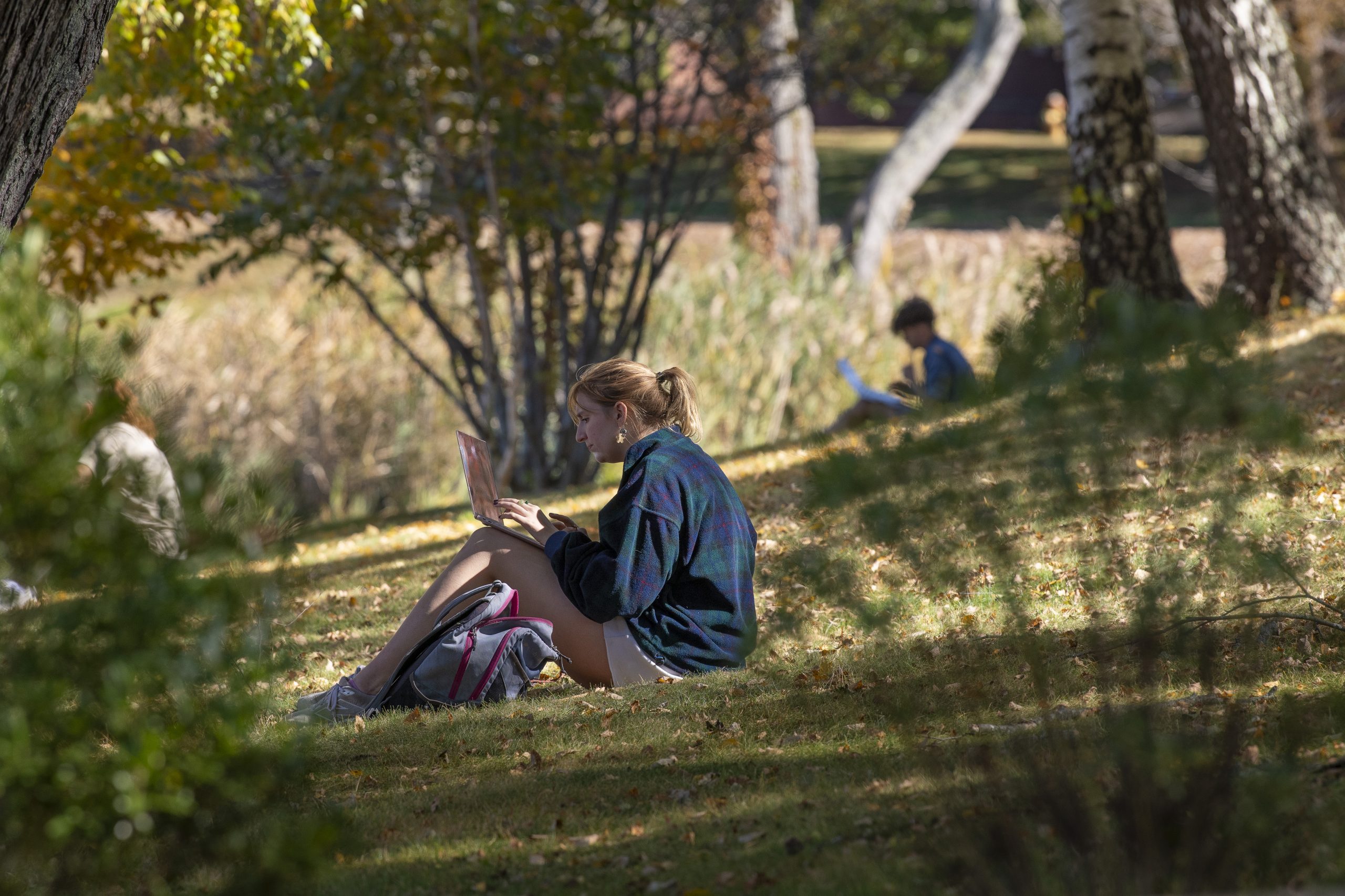 Students studying outside