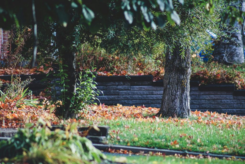 Garden in fall