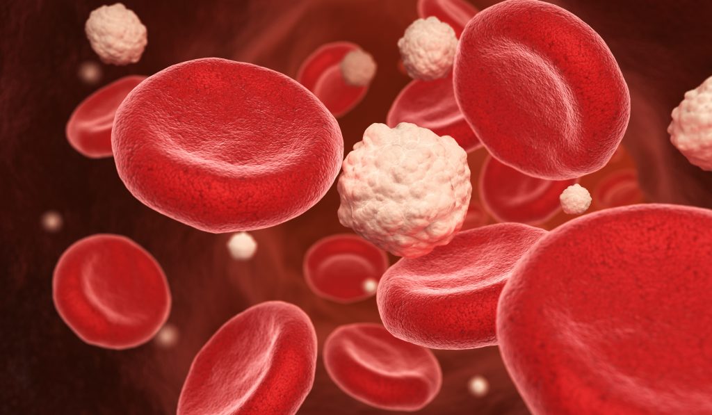 Blood cells and glucose in the vein. 3D illustration