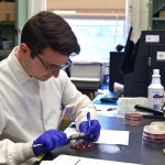 A student studies samples with a caliper in the Connecticut Veterinary Medical Diagnostic Laboratory (CVMDL) in the Wilbur O. Atwater Laboratory (ATWR). July 21, 2021. (Jason Sheldon/UConn Photo)