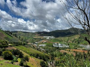 Agriculture fields in Constanza Dominican Republic