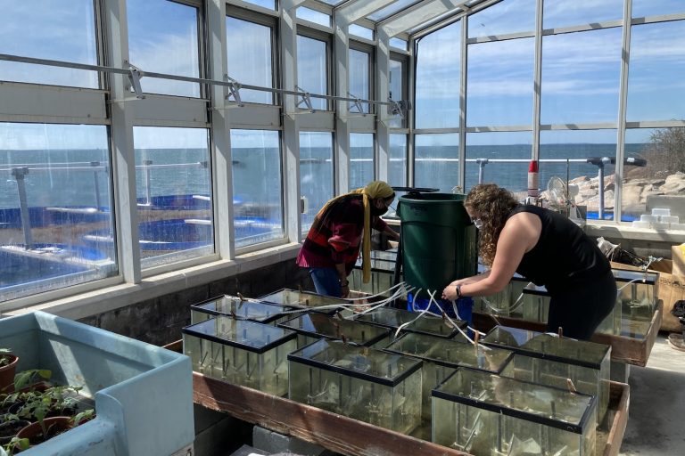 Hannah Collins and Larissa Tabb evaluate the lab tanks to check on degradation progress.