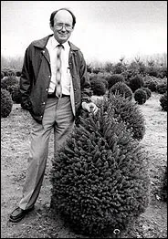 Man with a small conifer plant