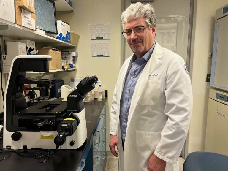 Eagles Autism Foundation Awards Research Funding to UConn School of ...