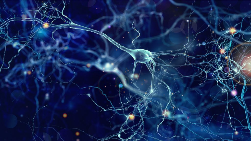 An illustration shows brain synapses connecting with each other.
