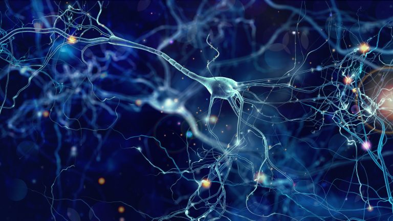 An illustration shows brain synapses connecting with each other.