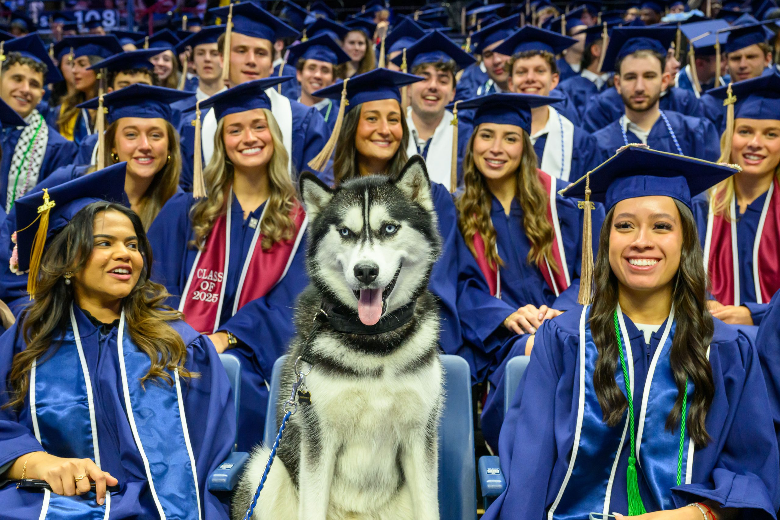 Jonathan XV sits with degree candidates during the School of Business Commencement ceremony at Gampel Pavilion on May 10, 2025. (Peter Morenus/UConn Photo)