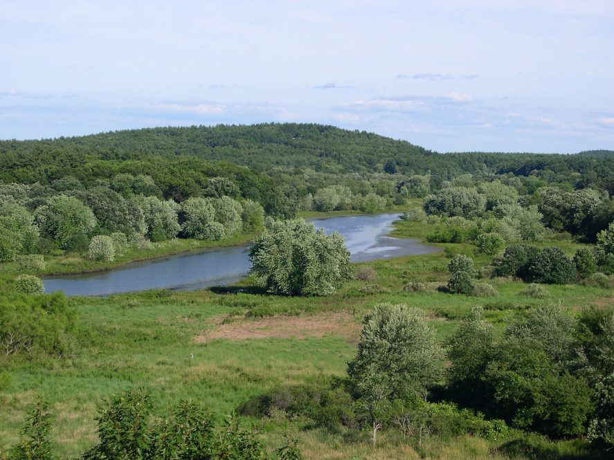 A view of a river surrounded by green scenery including grasses and trees.