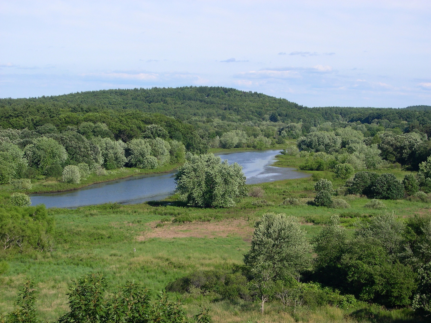 A view of a river surrounded by green scenery including grasses and trees.