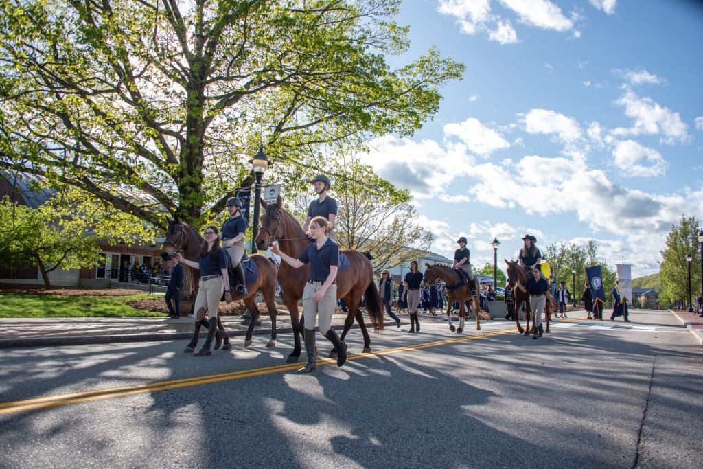 Horse processional