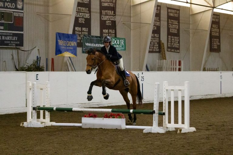 Woman on horse jumping