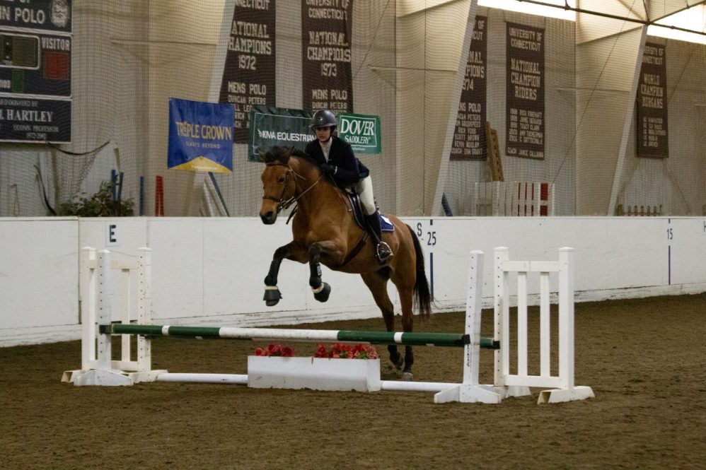 Woman on horse jumping
