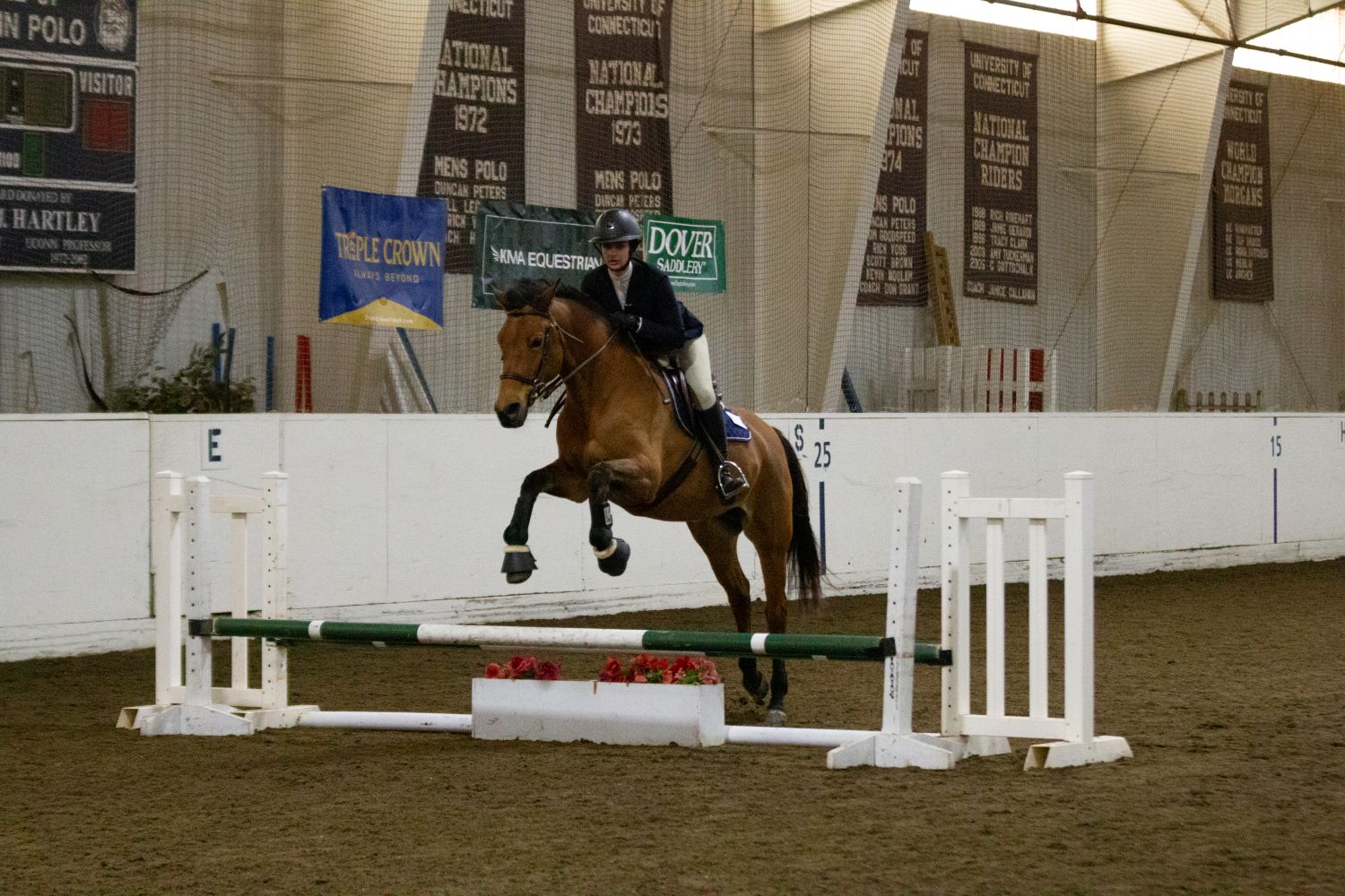 Woman on horse jumping