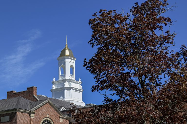 Wilbur cross with a tree in the foreground