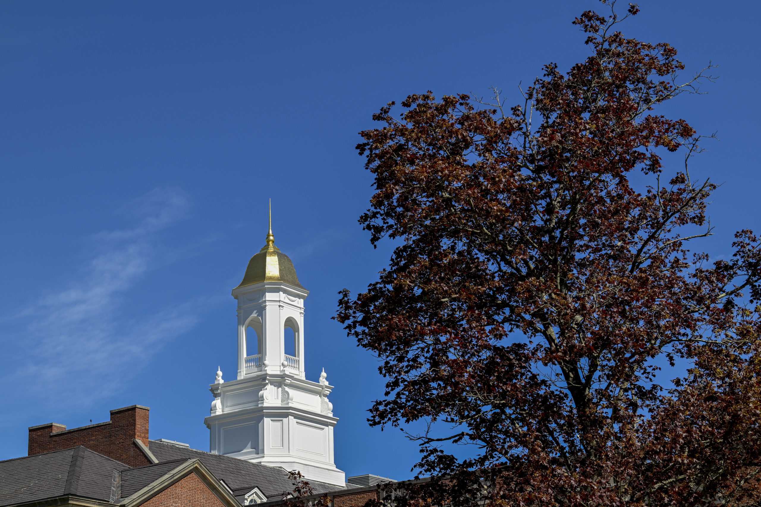 Wilbur cross with a tree in the foreground