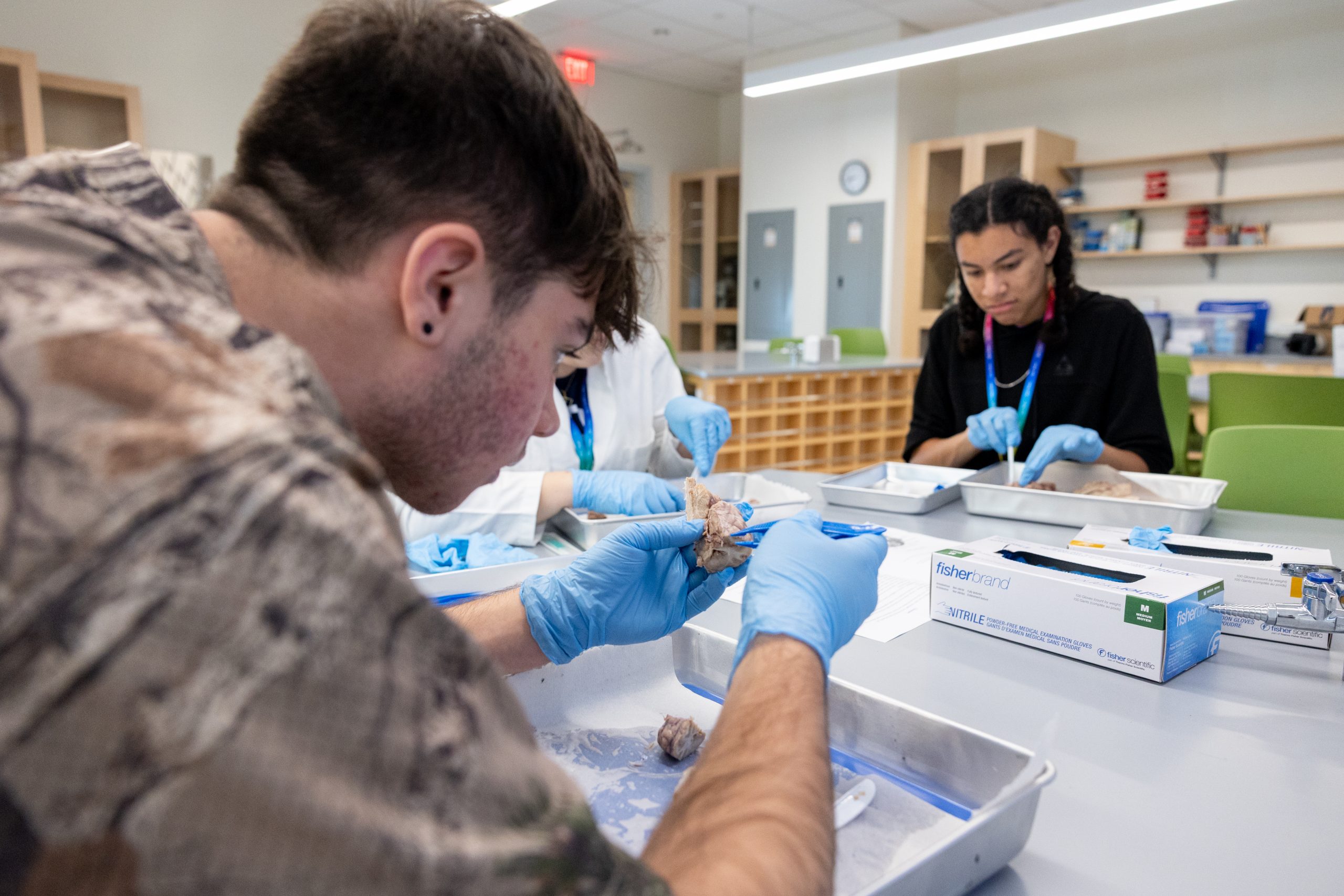 Two students wearing lanyards and gloves work over dissection trays