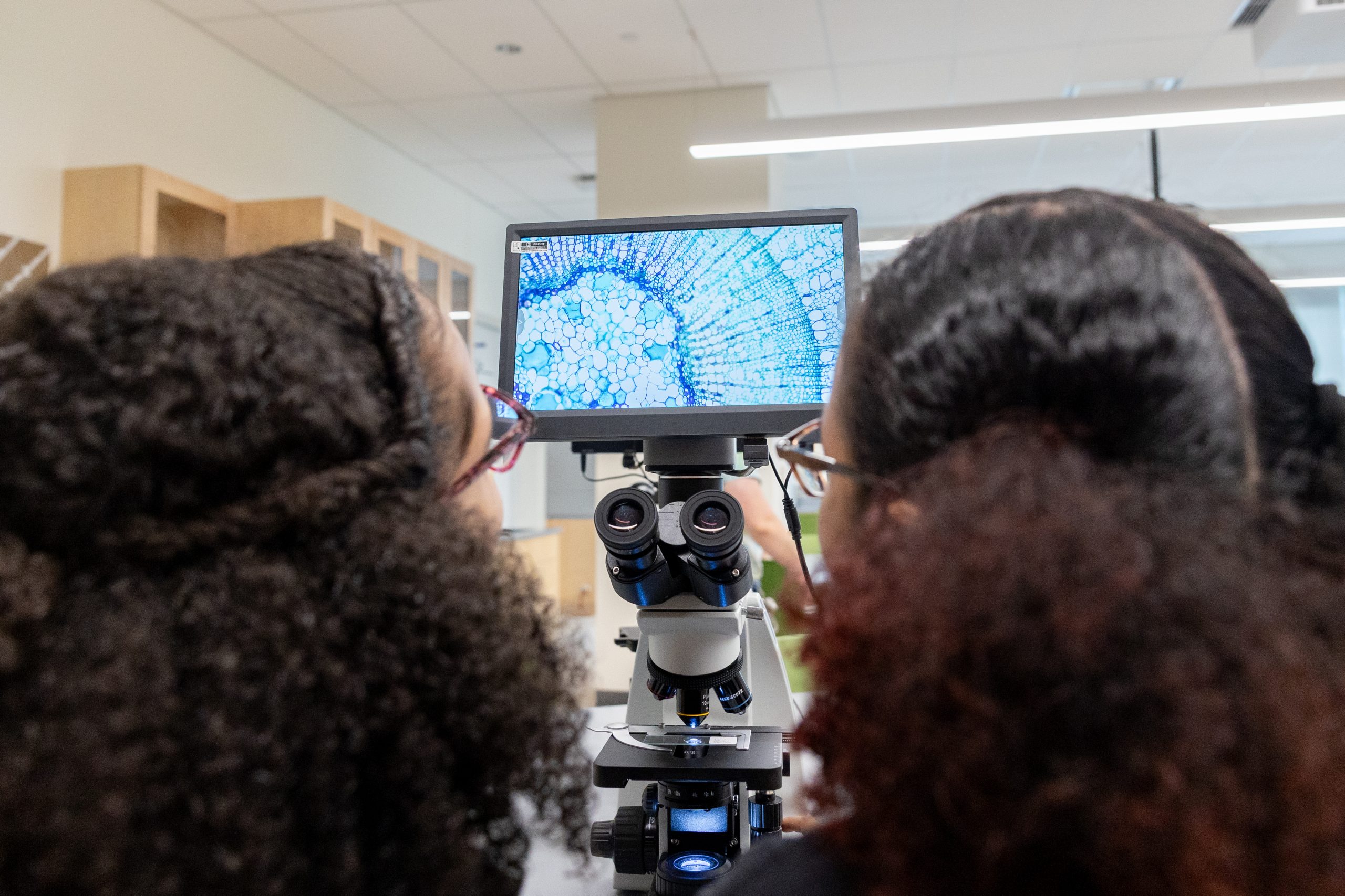 Microscope output screen showing a radial pattern is visible between the heads of two students who are looking at the screen