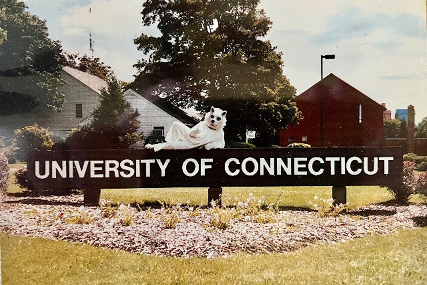 Jonathan the Husky mascot laying on the Rt. 195 UConn entry sign