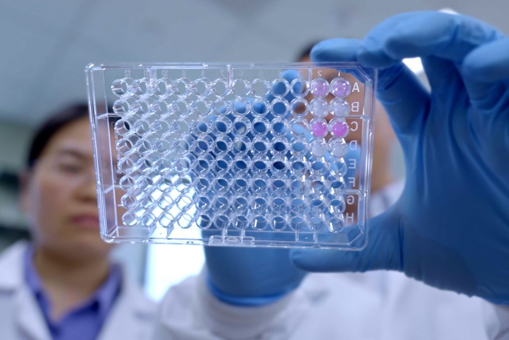 Two scientists looking at a tray of specimens