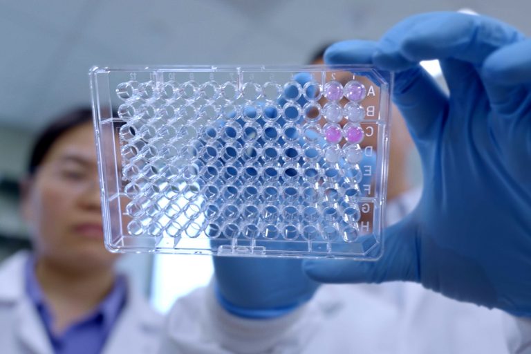 Two scientists looking at a tray of specimens