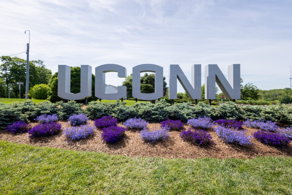 Blue and purple flowers sit in the flowerbed in front of the UConn gateway sign