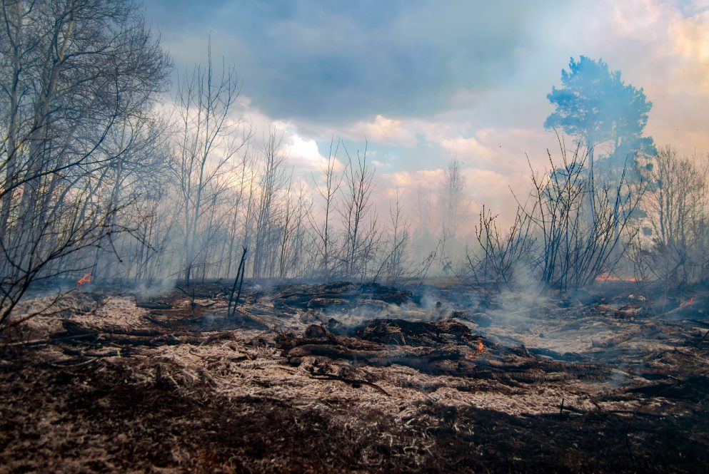 Grass and trees burning with fire and smoke visible.
