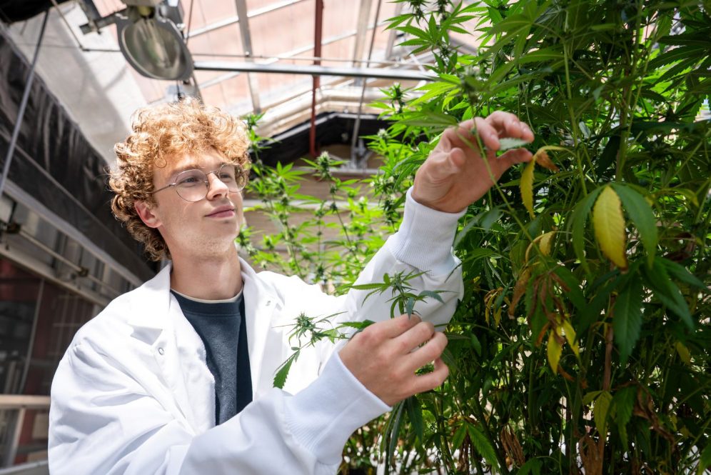 Male student works in greenhouse