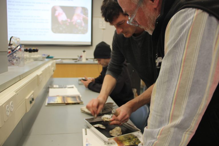 People learning in a classroom.
