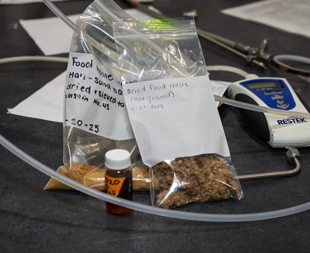 dried food waste 