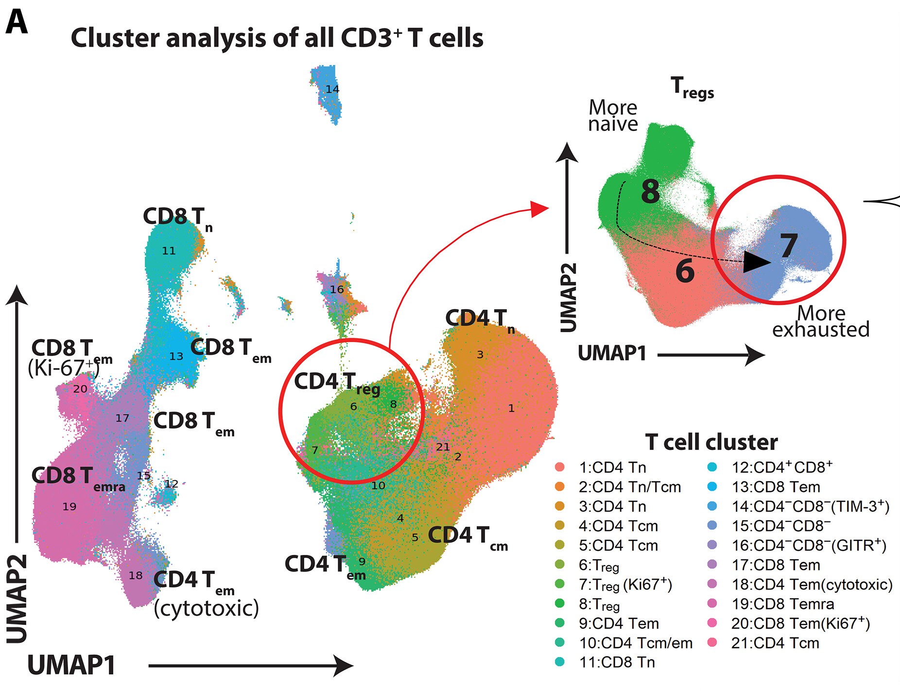 Study image from Science Translational Medicine.