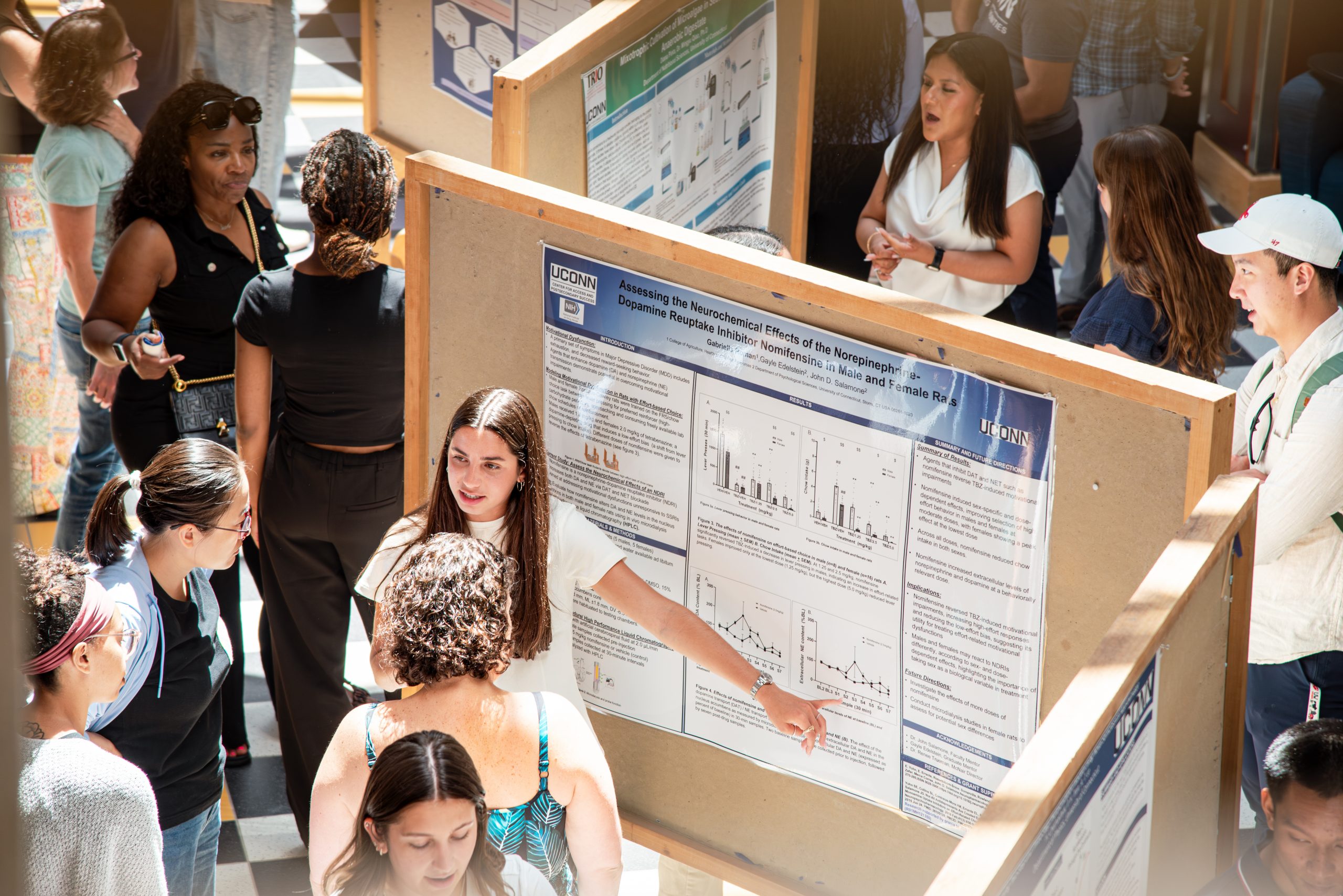 Students standing by posters on a large cork board talking to people about their research