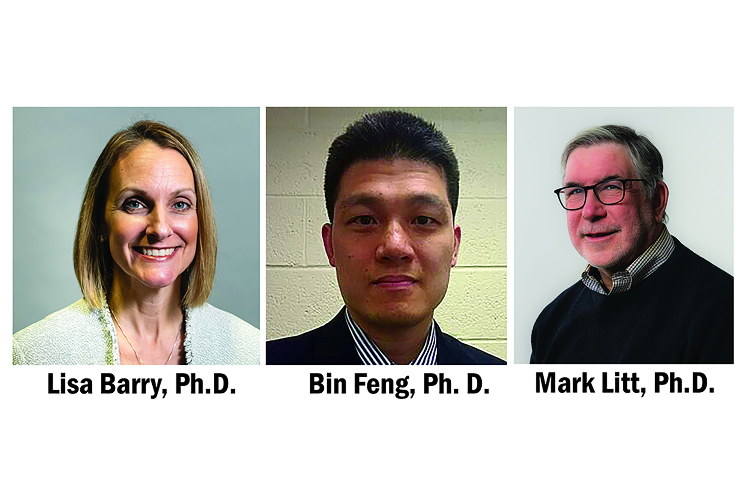 Lisa Barry, Bin Feng Mark Litt