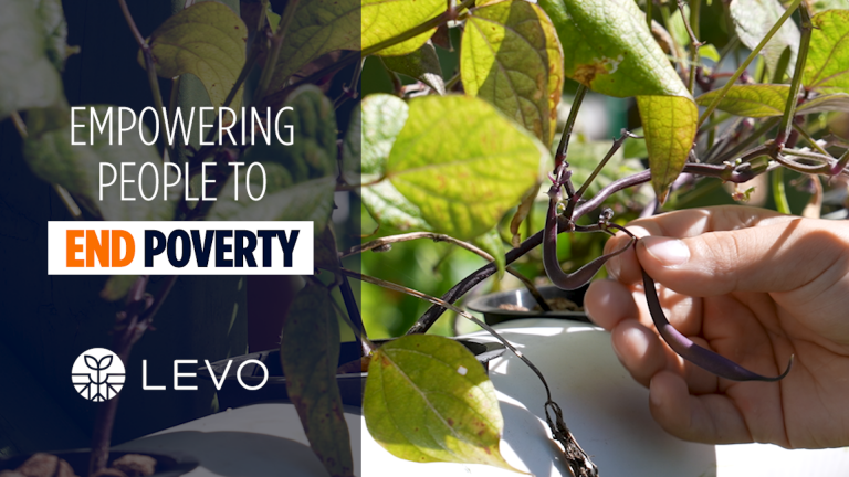 A hand picking food off a vine with an overlay and the title 