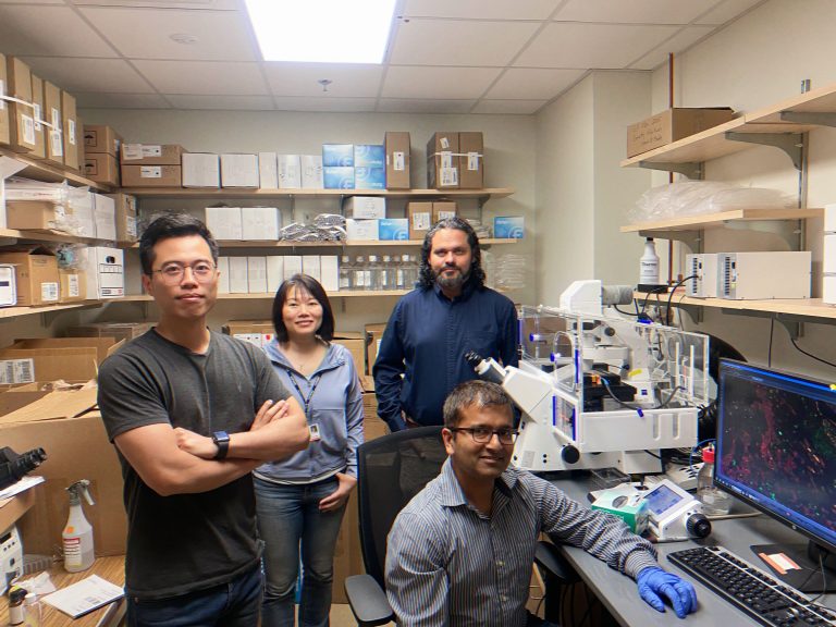 Four researchers in lab.