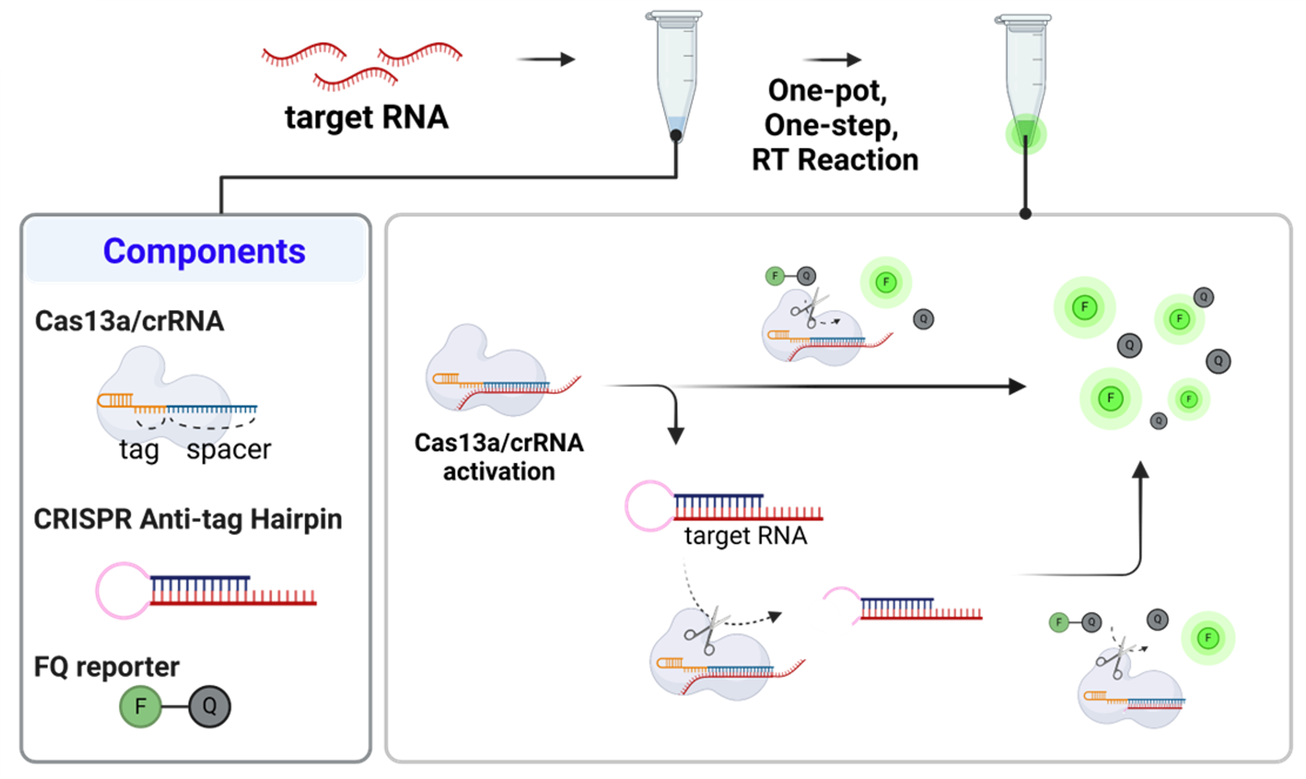 illustrations of research from the study