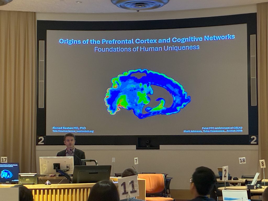 Keynote Speaker Dr. Nenad Sestan lecturing.